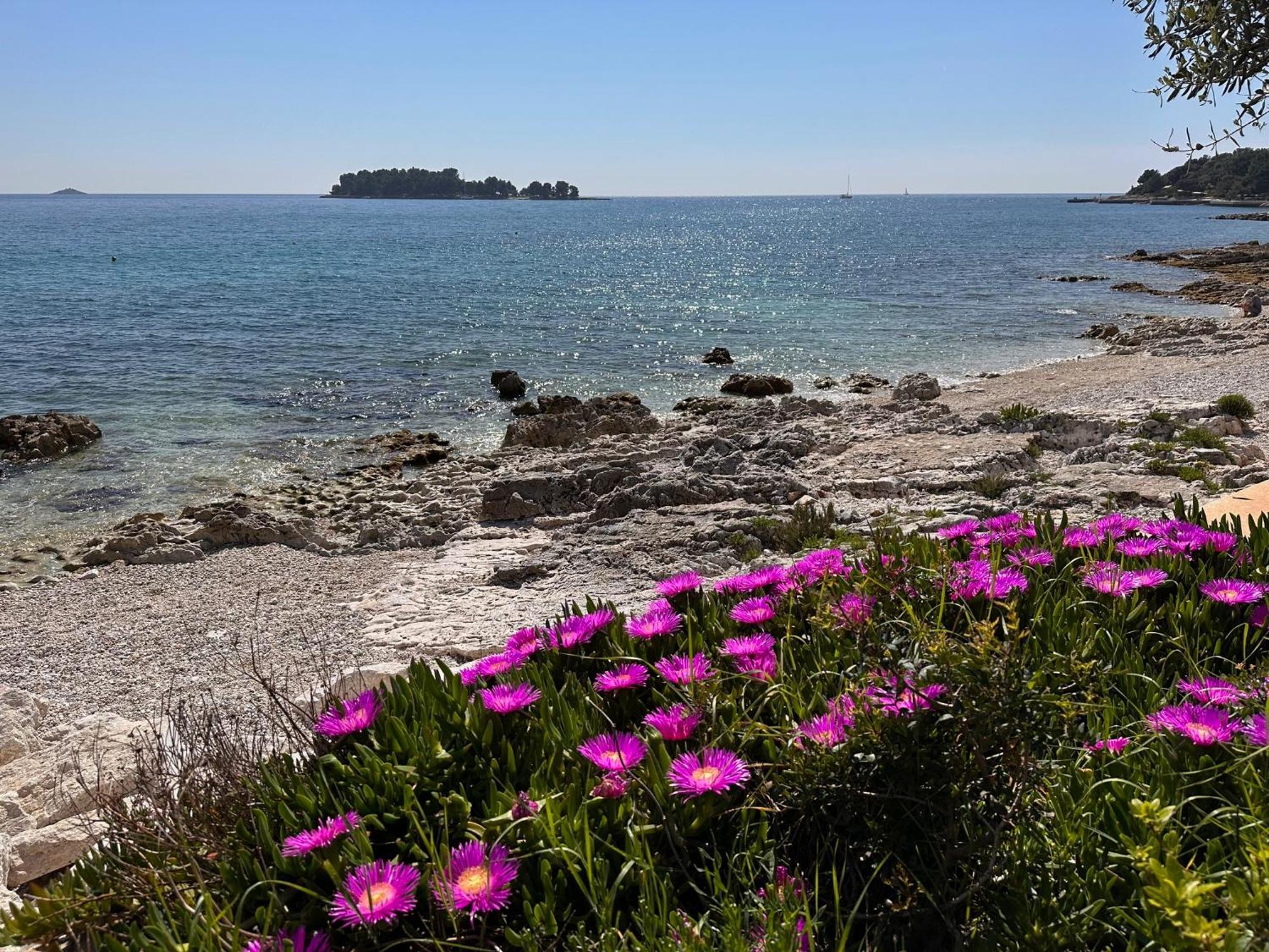 Anthony * Rovinj